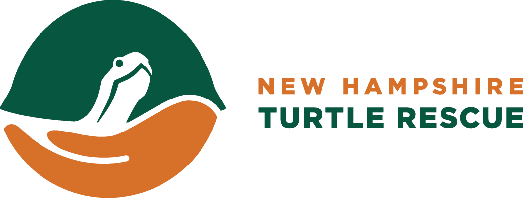 New Hampshire Turtle Rescue logo