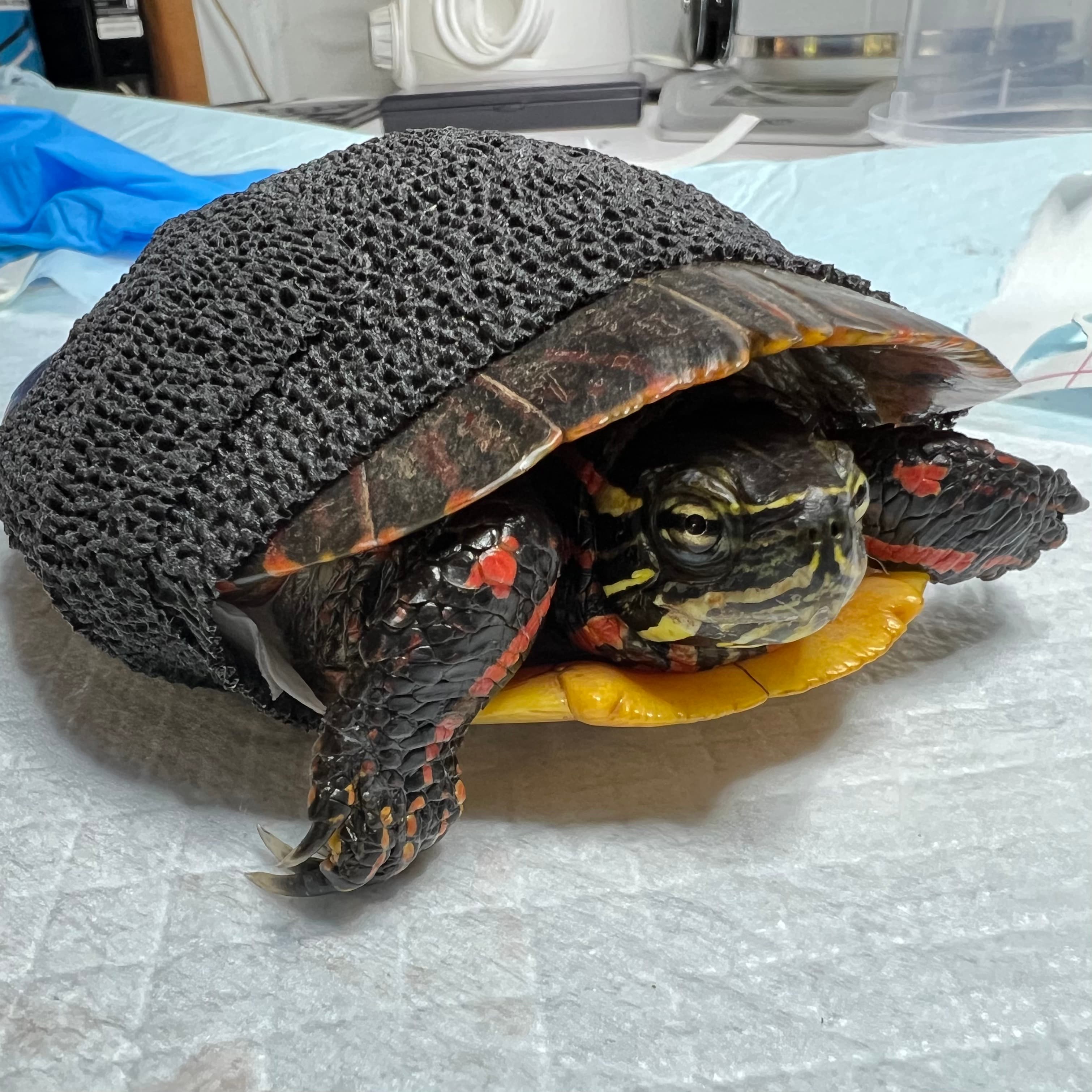 Fang during an exam early on in his rehab journey
