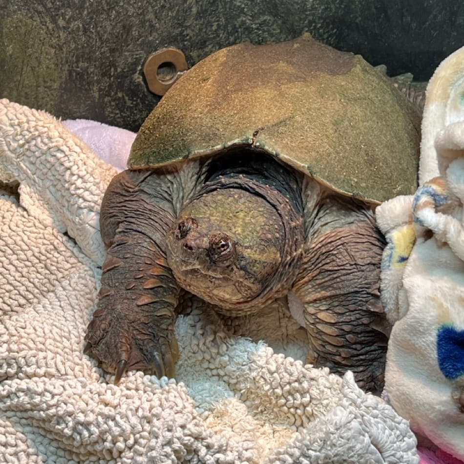 Quinn in his dry-dock setup