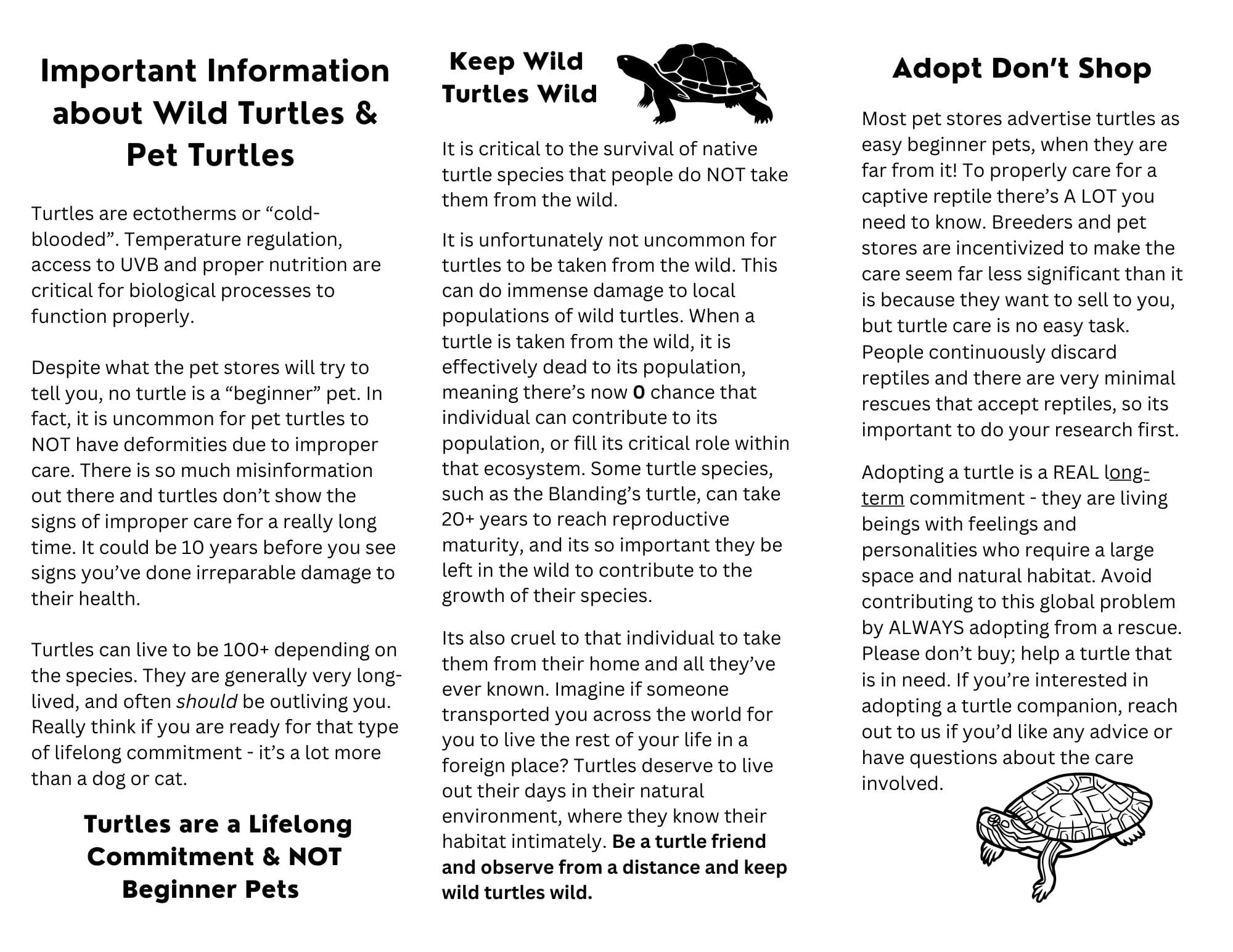 Trifold brochure with information about pet turtles. Front view.