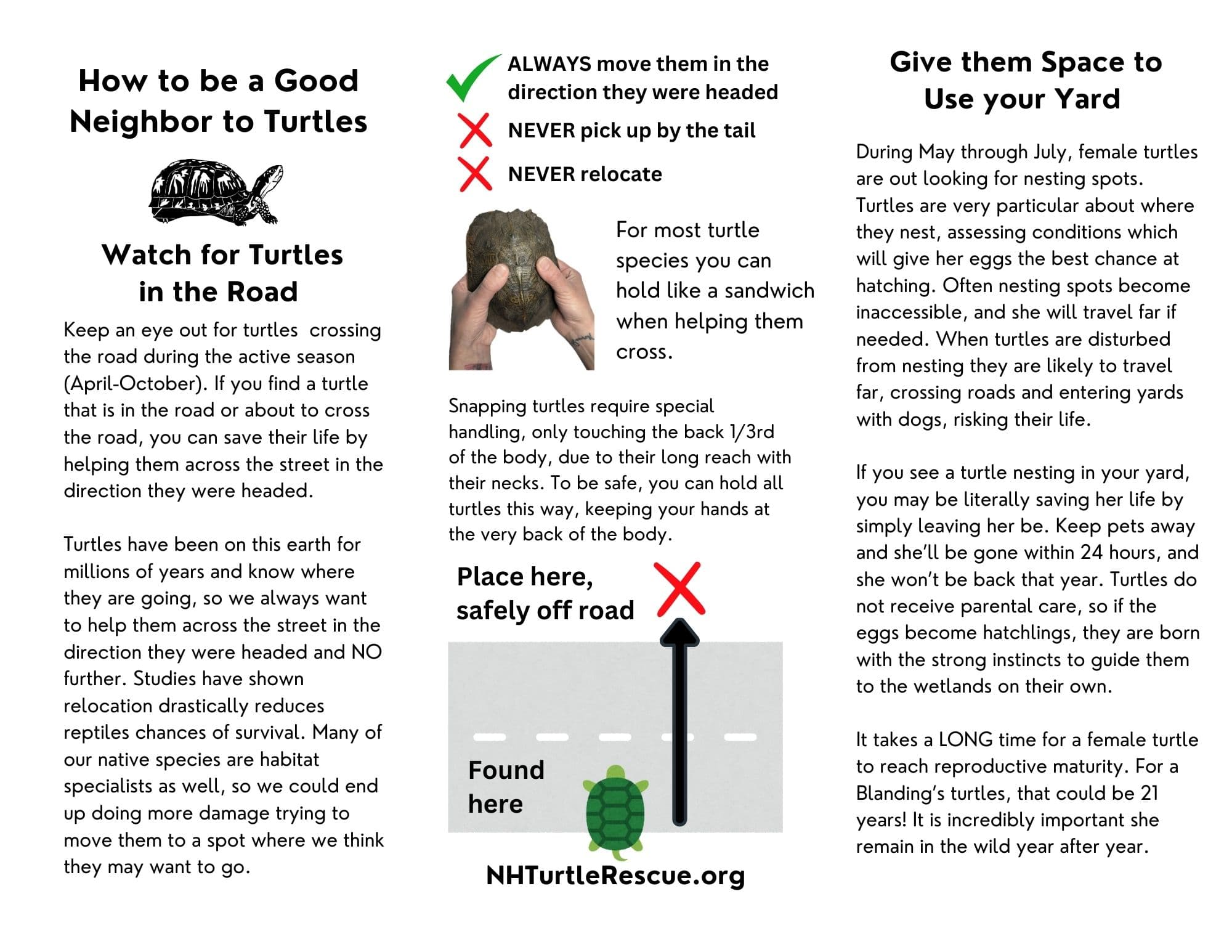 Trifold or Z fold brochure with information about how to be a good neighbor to turtles. Back view.