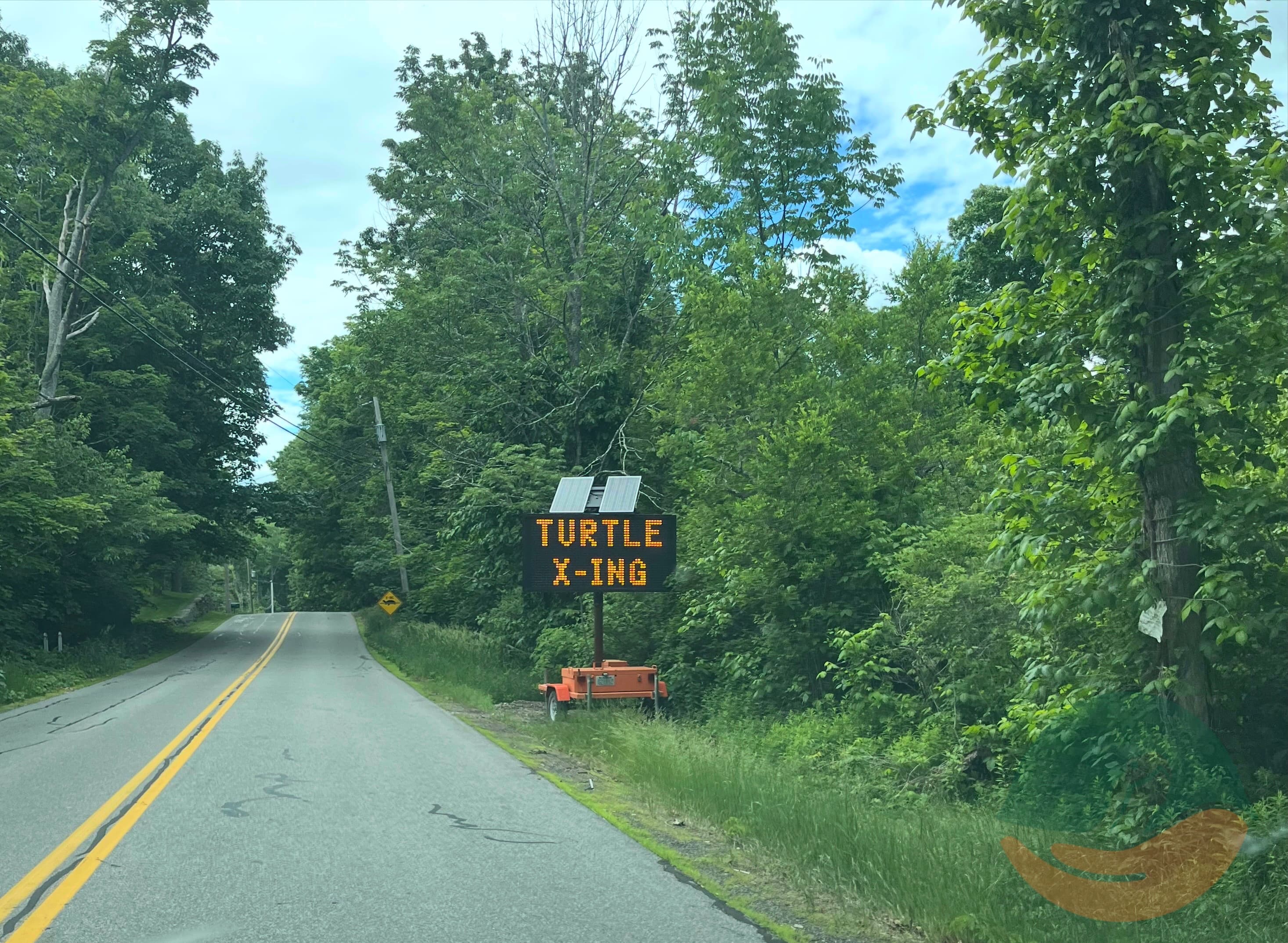 Turtle Crossing sign