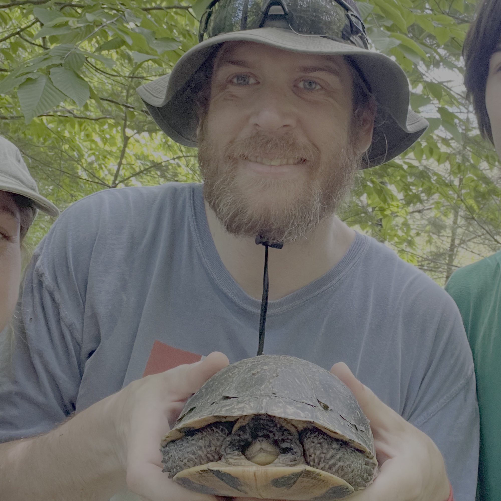 Drew Stevens with a Blanding's turtle during a release.